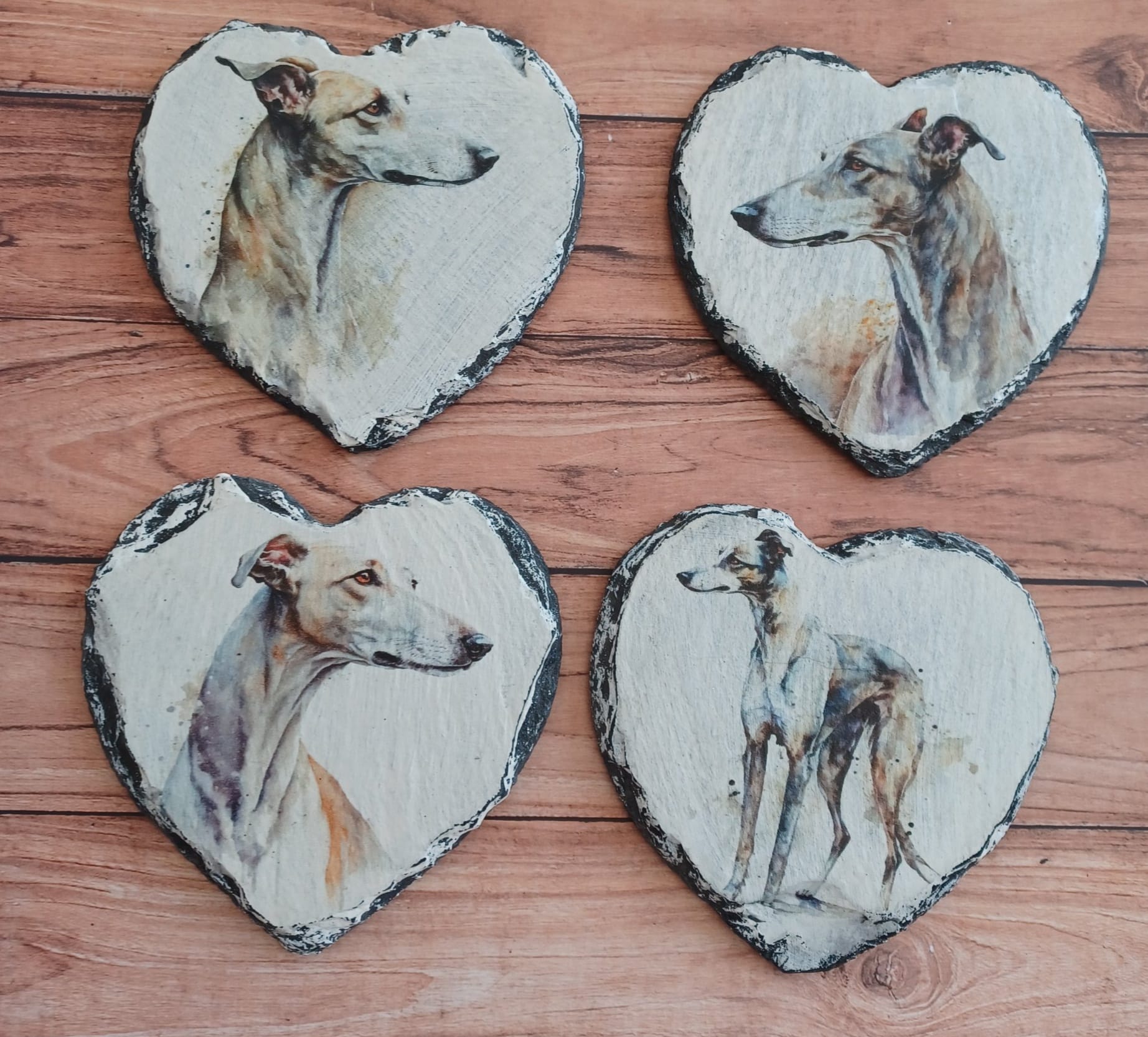 435071423_1038235854411574_2959910422176753712_n